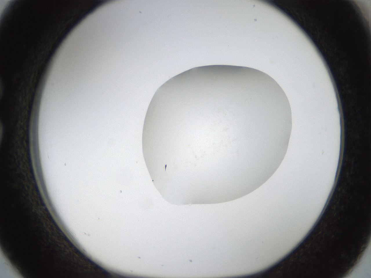 folderID18_plateID1018_batchID1888_wellNum26_profileID1_d1_r43101_ef.jpg