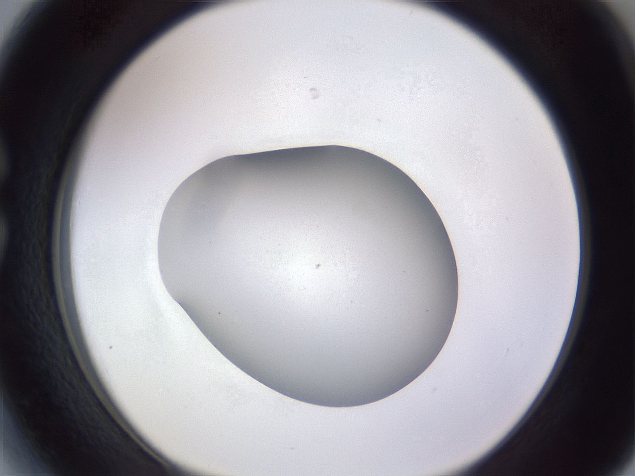 folderID190_plateID2190_batchID9958_wellNum27_profileID1_d1_r148529_ef.jpg