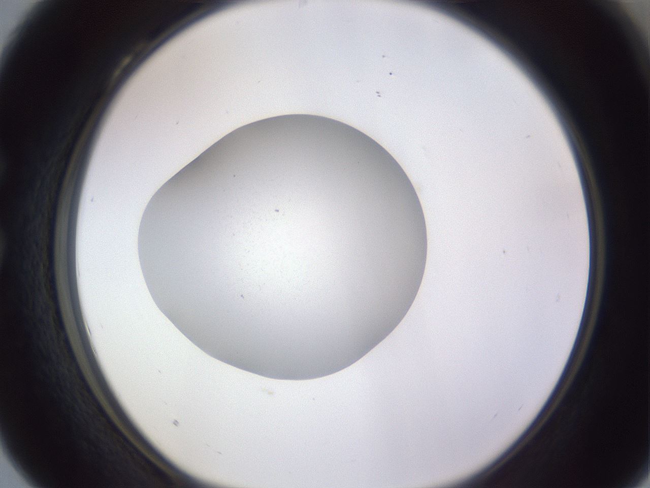 folderID190_plateID2190_batchID9958_wellNum28_profileID1_d1_r148530_ef.jpg