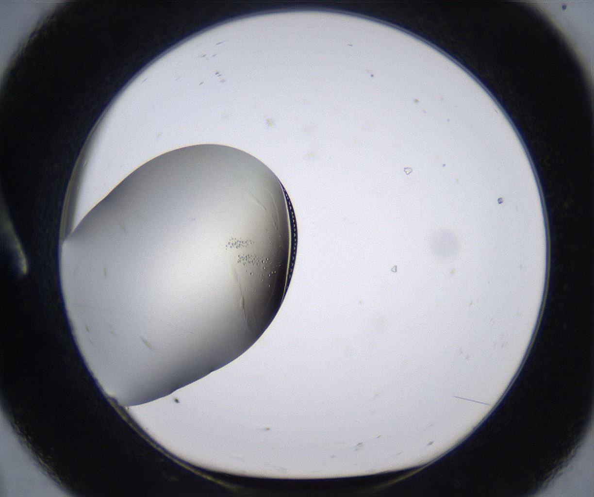 folderID200_plateID2200_batchID9969_wellNum8_profileID1_d1_r149182_ef.jpg