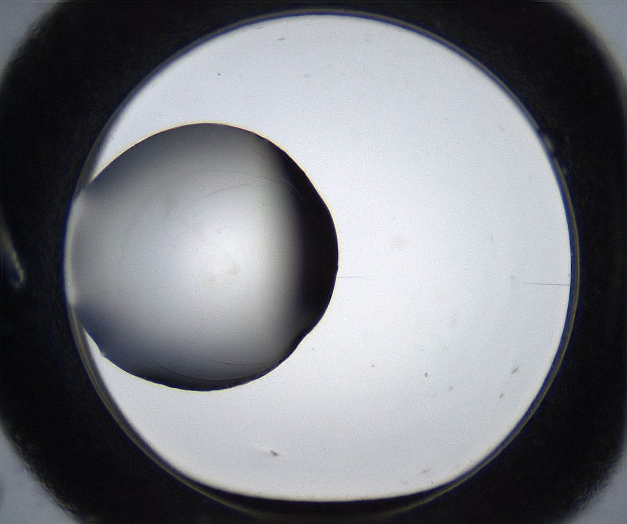 folderID446_plateID2446_batchID11782_wellNum7_profileID1_d1_r182060_ef.jpg