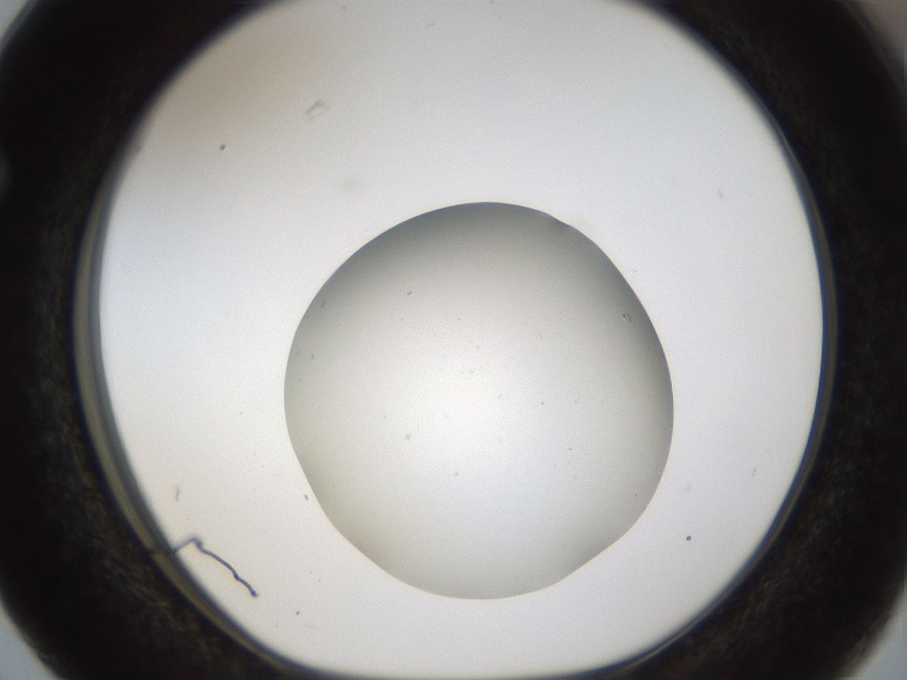 folderID45_plateID1045_batchID2122_wellNum63_profileID1_d1_r47078_ef.jpg