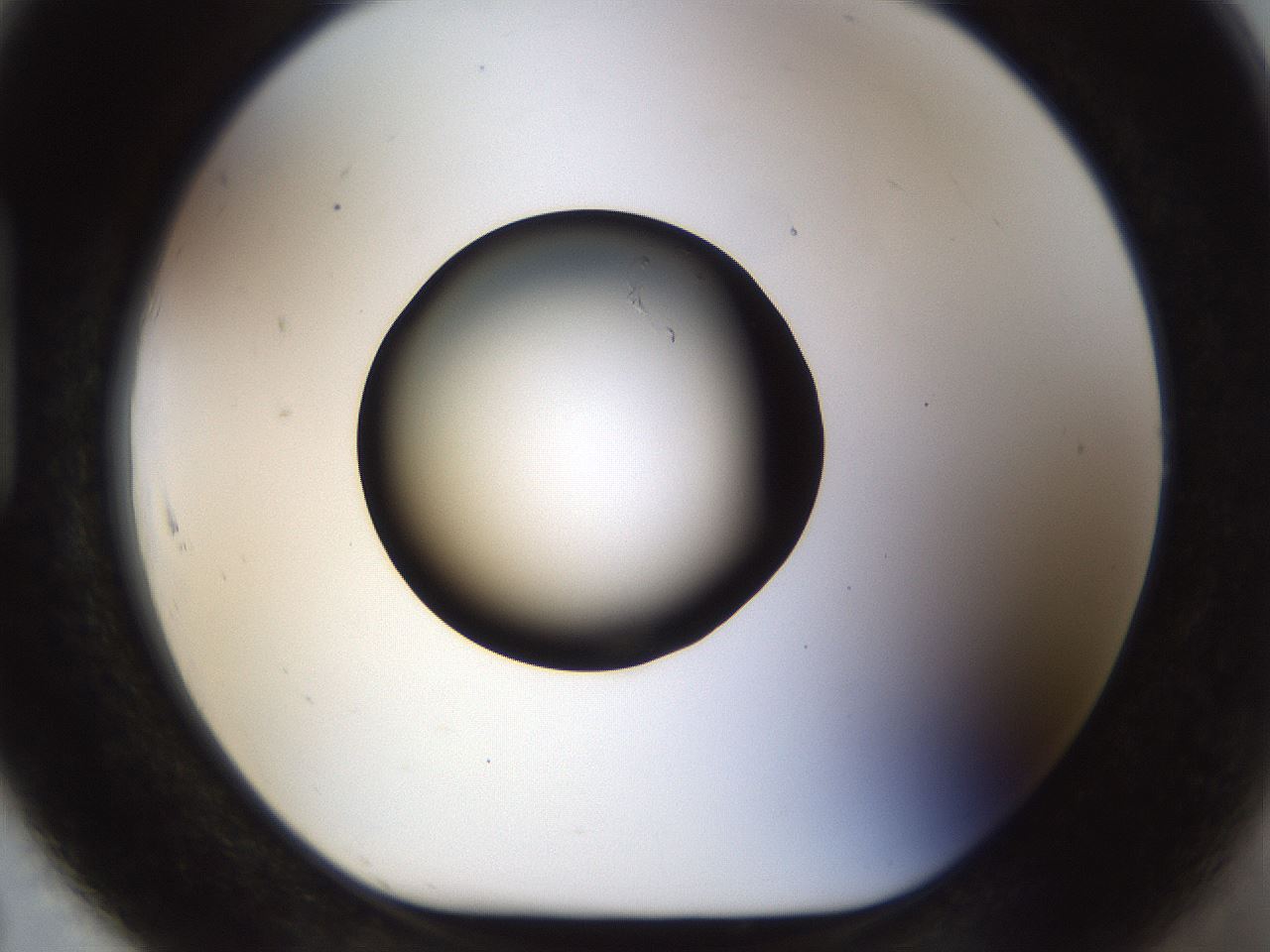 folderID464_plateID1464_batchID5604_wellNum91_profileID1_d1_r92913_ef.jpg