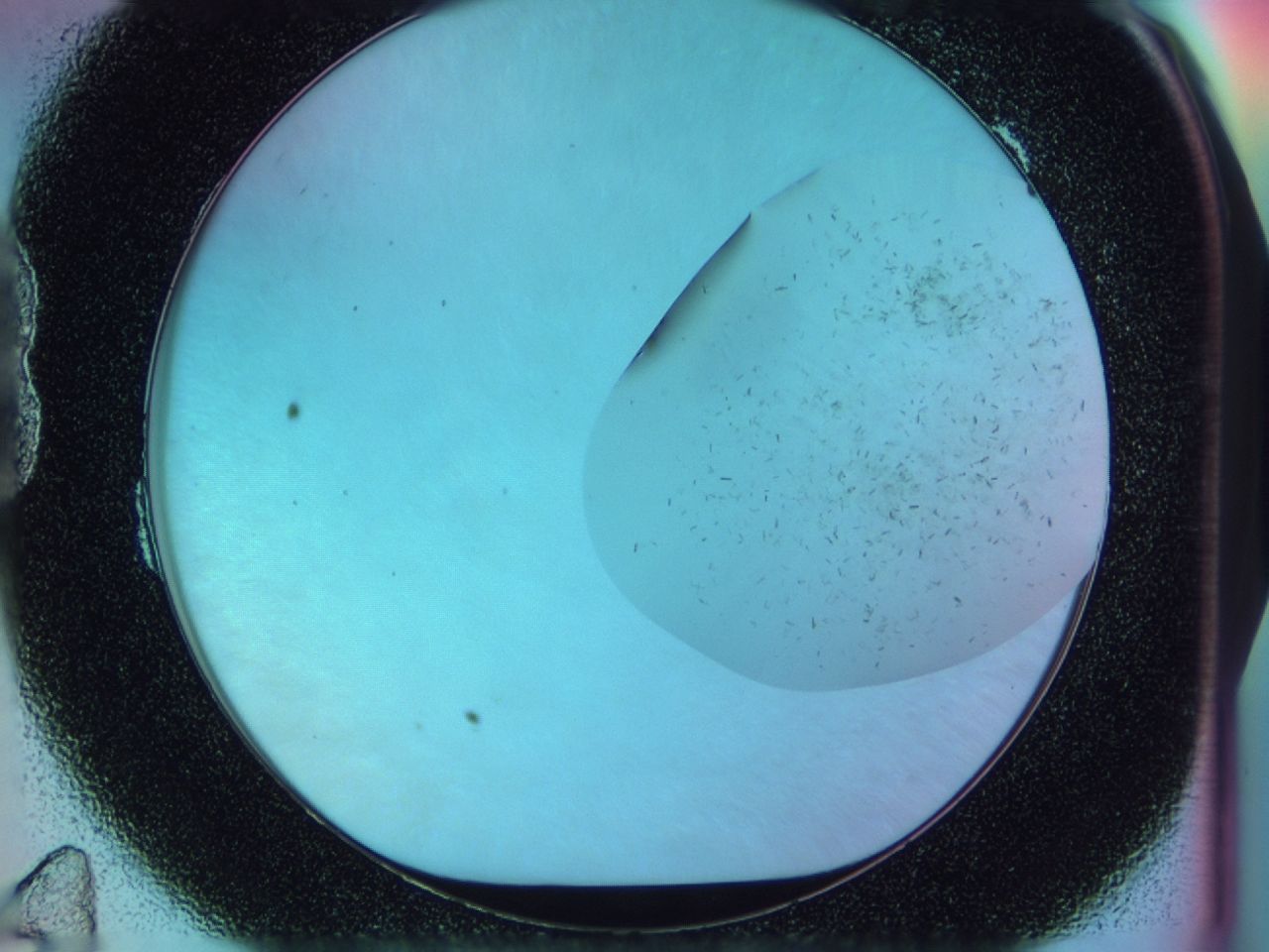 03bp_B11_ImagerDefaults_6.jpg
