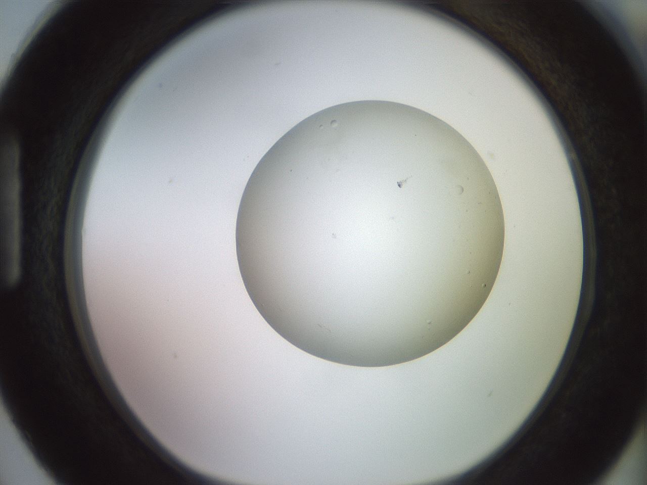 folderID467_plateID2467_batchID12051_wellNum87_profileID1_d1_r186514_ef.jpg