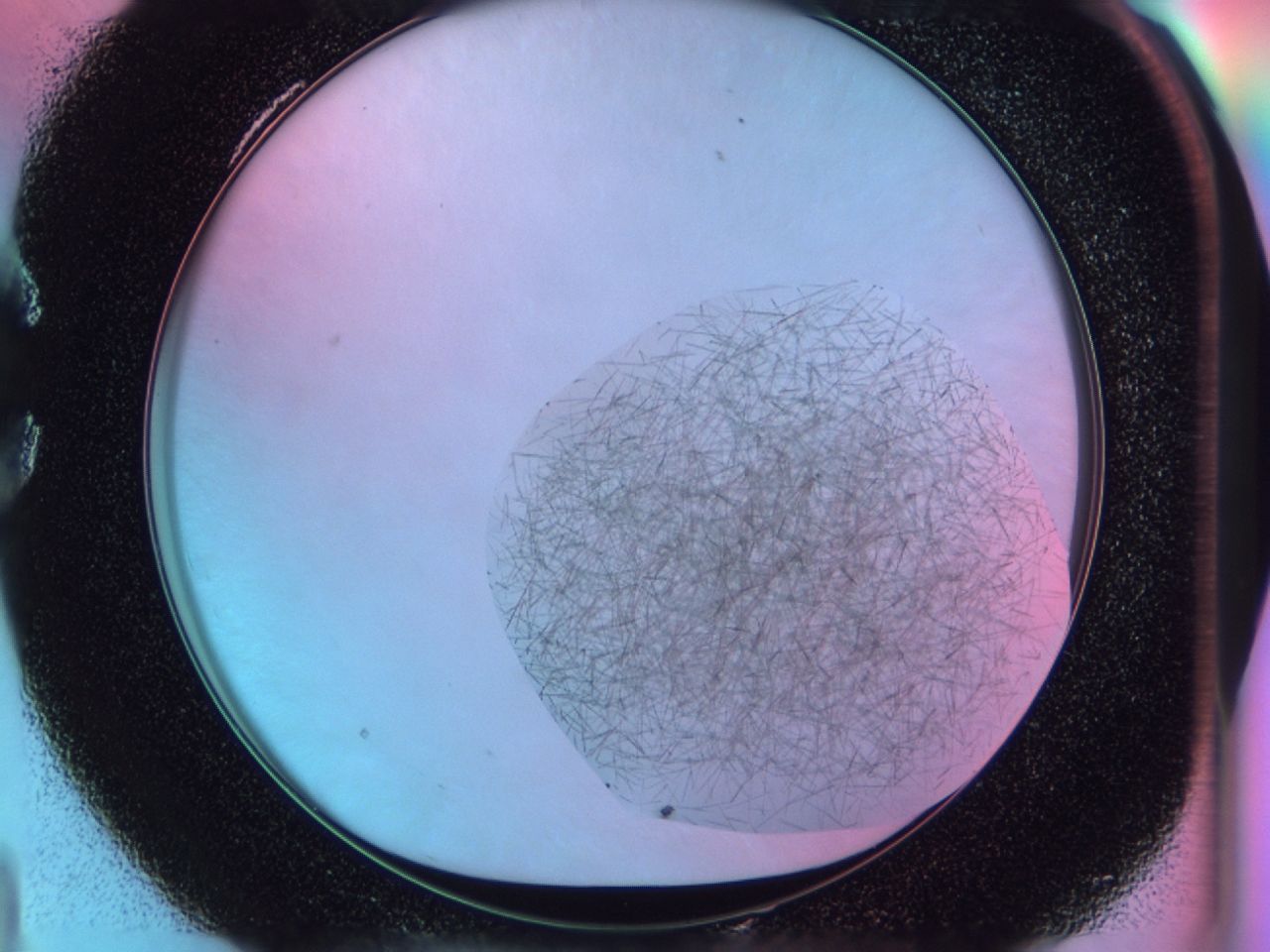 03bp_C4_ImagerDefaults_6.jpg