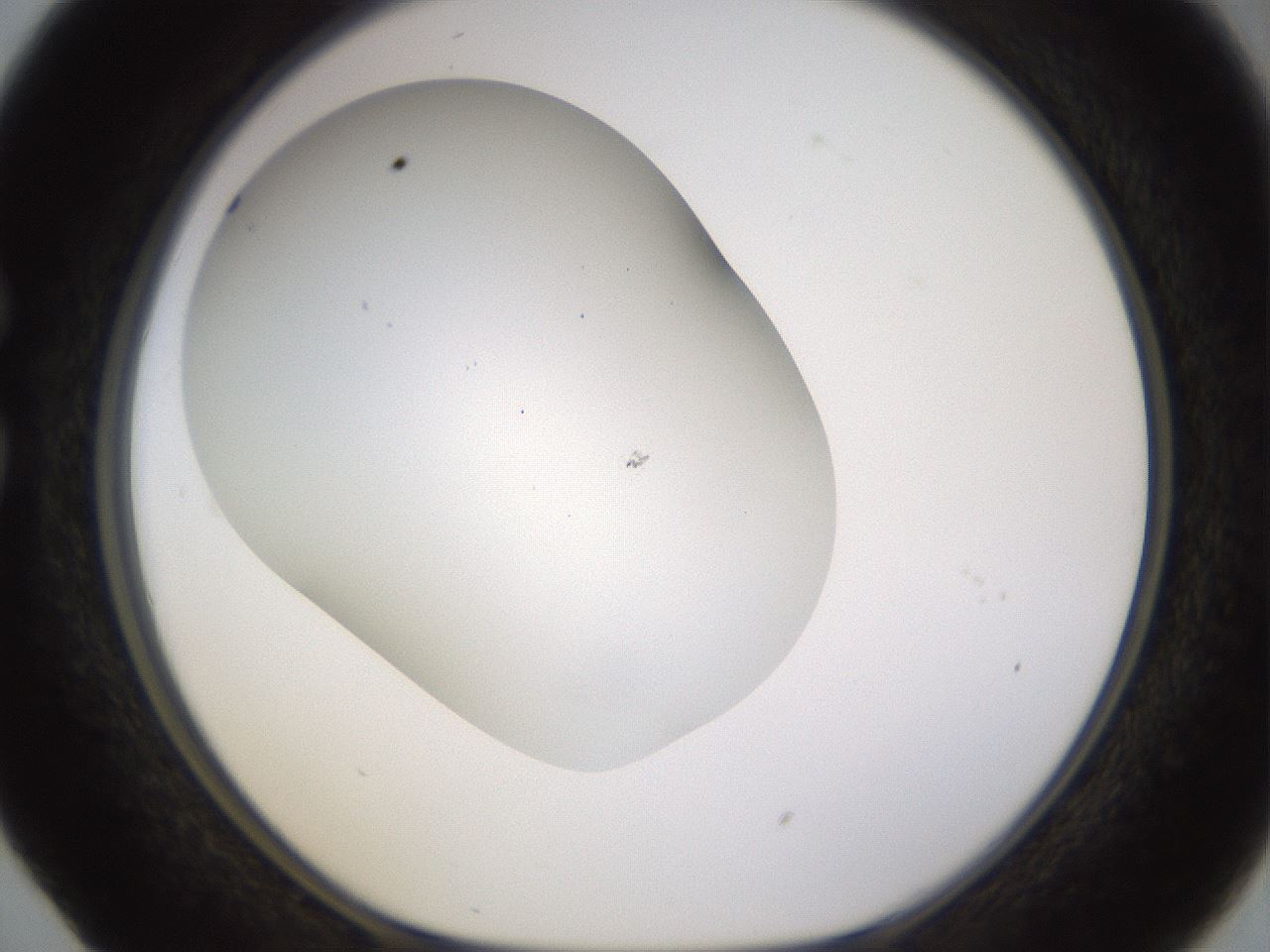 folderID469_plateID1469_batchID5687_wellNum29_profileID1_d1_r92959_ef.jpg