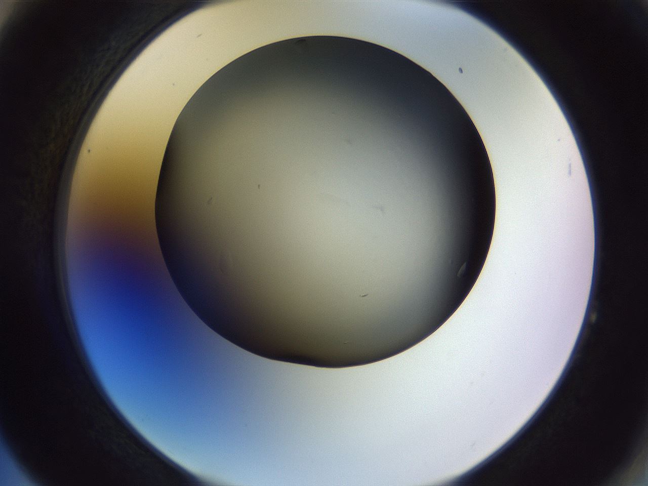 folderID470_plateID1470_batchID5612_wellNum64_profileID1_d2_r93092_ef.jpg