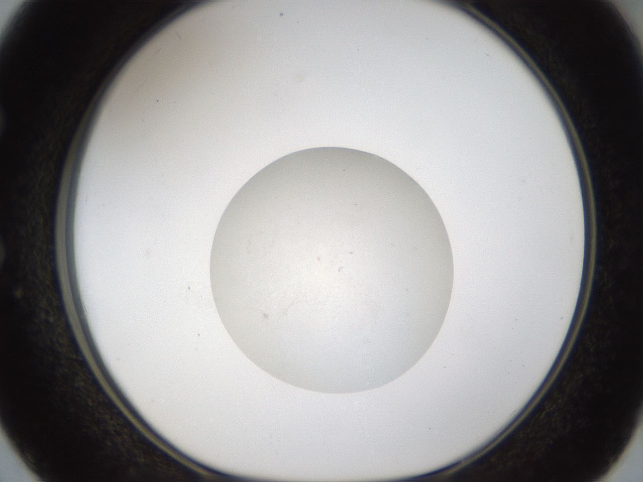 folderID47_plateID1047_batchID2123_wellNum50_profileID1_d1_r47161_ef.jpg