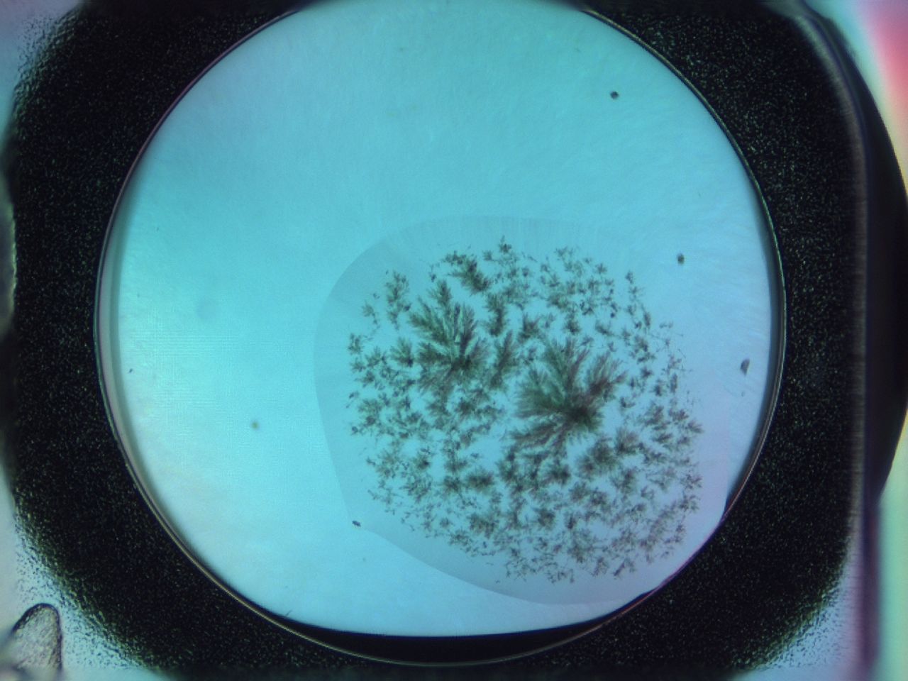 03bq_D11_ImagerDefaults_7.jpg