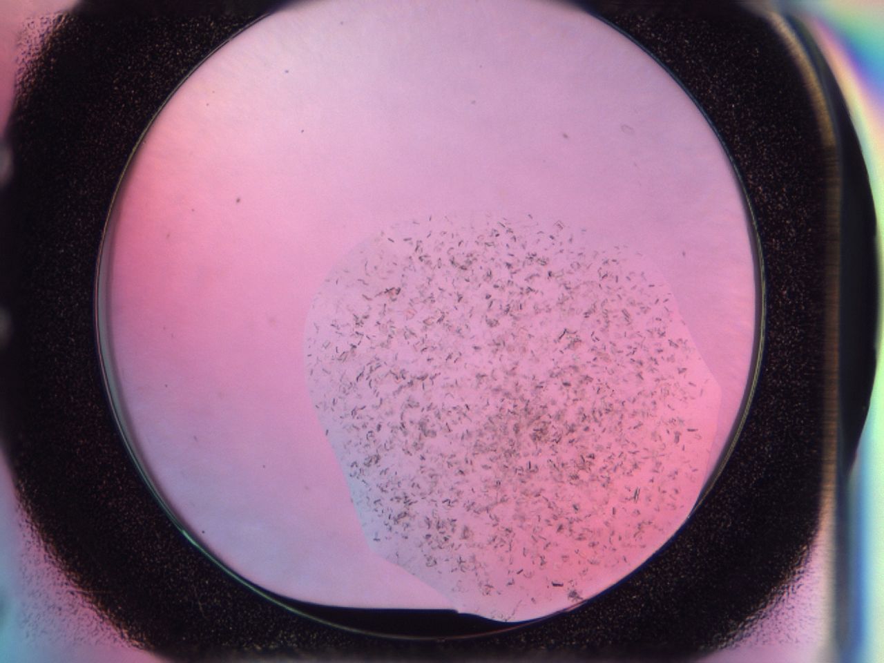 03bq_E7_ImagerDefaults_6.jpg