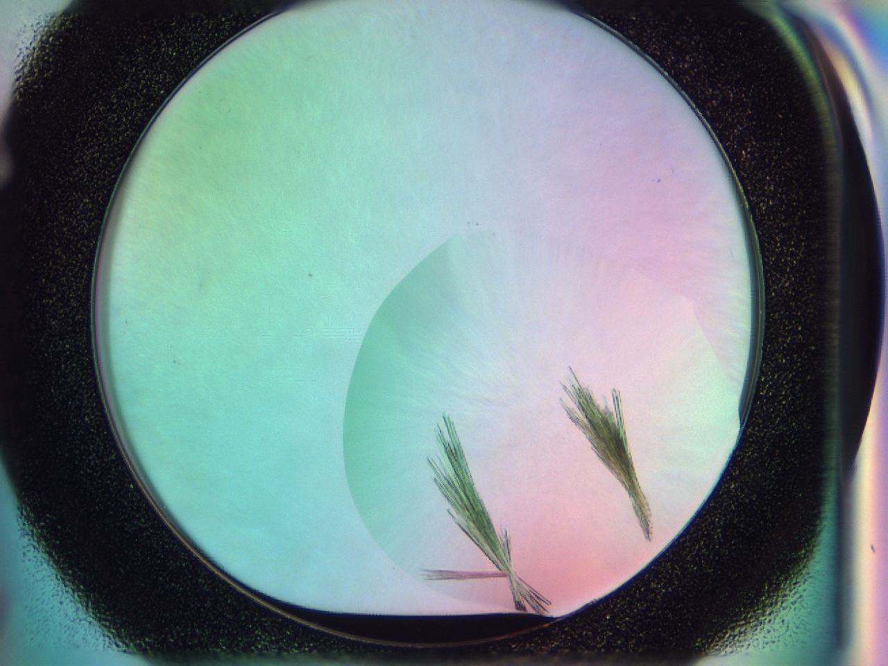 03bq_F7_ImagerDefaults_7.jpg