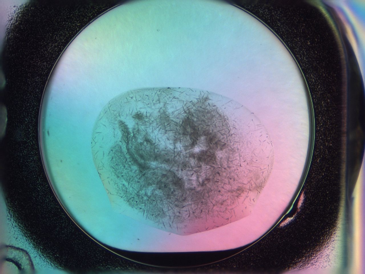 03bq_G10_ImagerDefaults_6.jpg