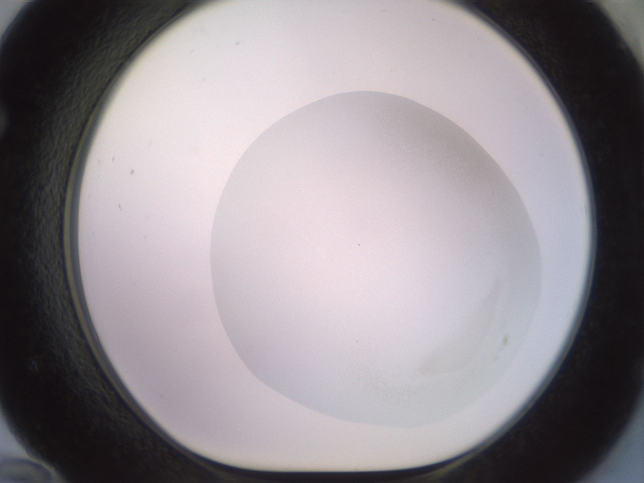 folderID502_plateID2502_batchID12084_wellNum72_profileID1_d1_r188323_ef.jpg