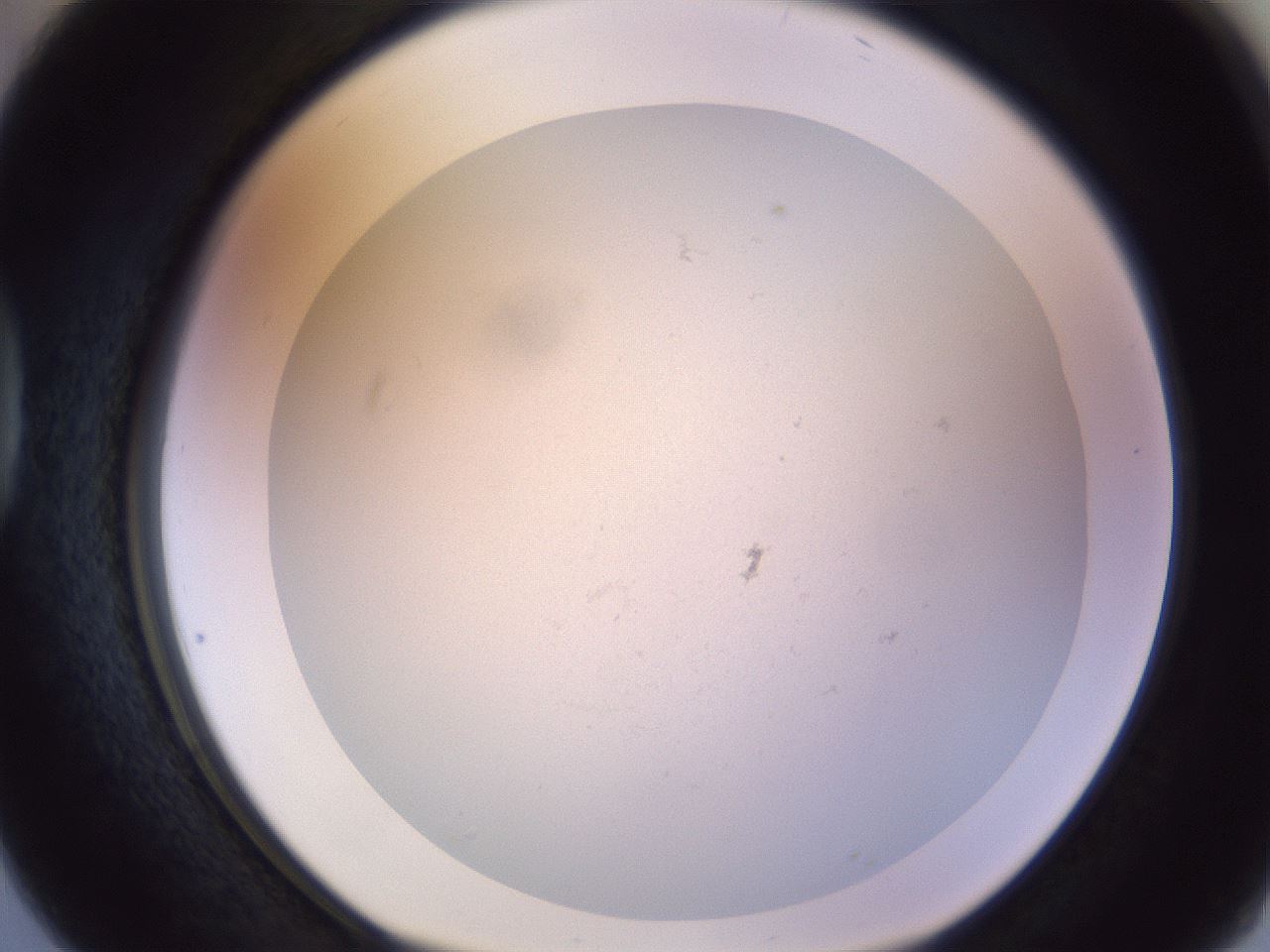 folderID504_plateID1504_batchID5939_wellNum38_profileID1_d1_r95574_ef.jpg