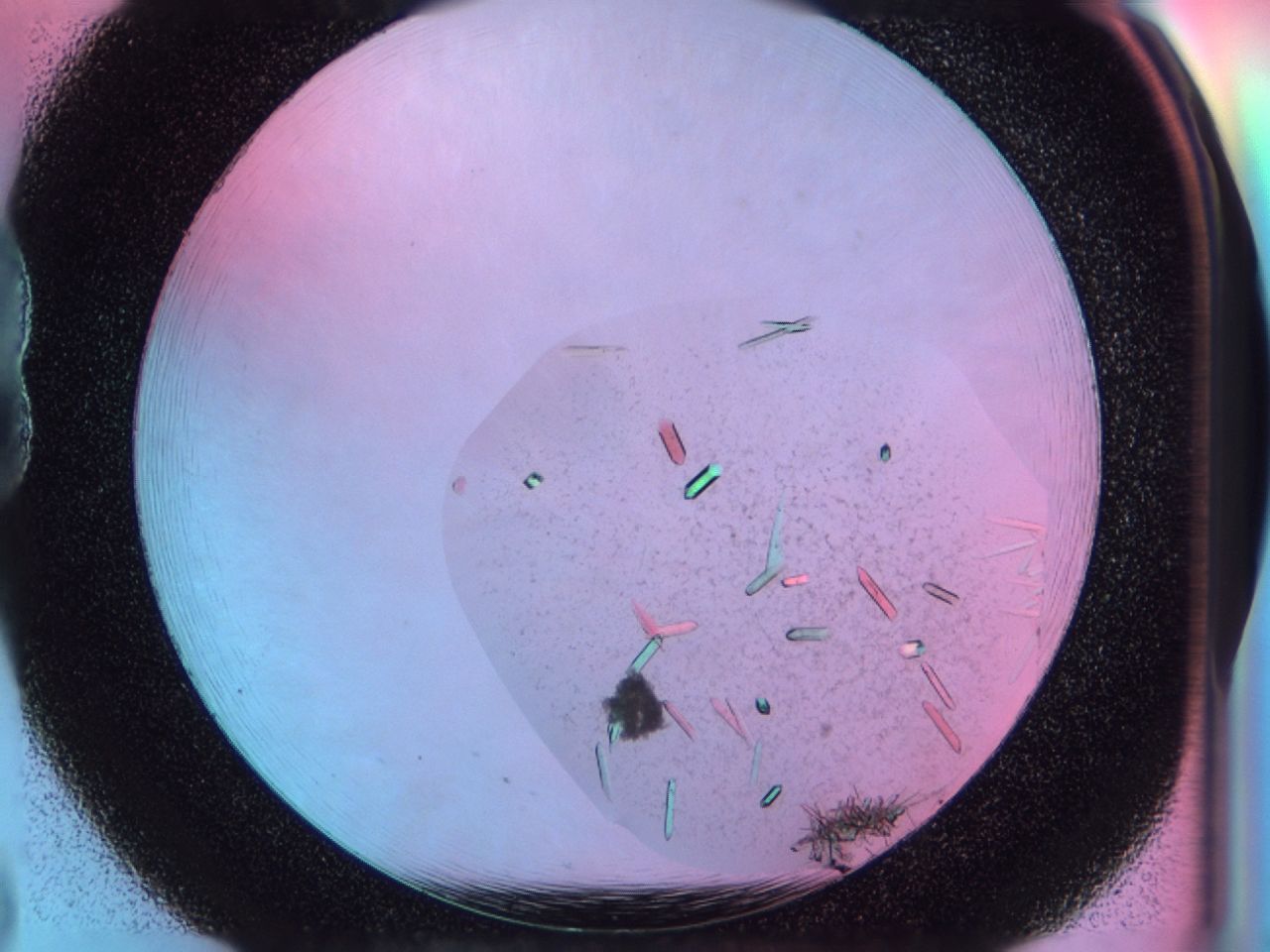 03bs_B8_ImagerDefaults_6.jpg