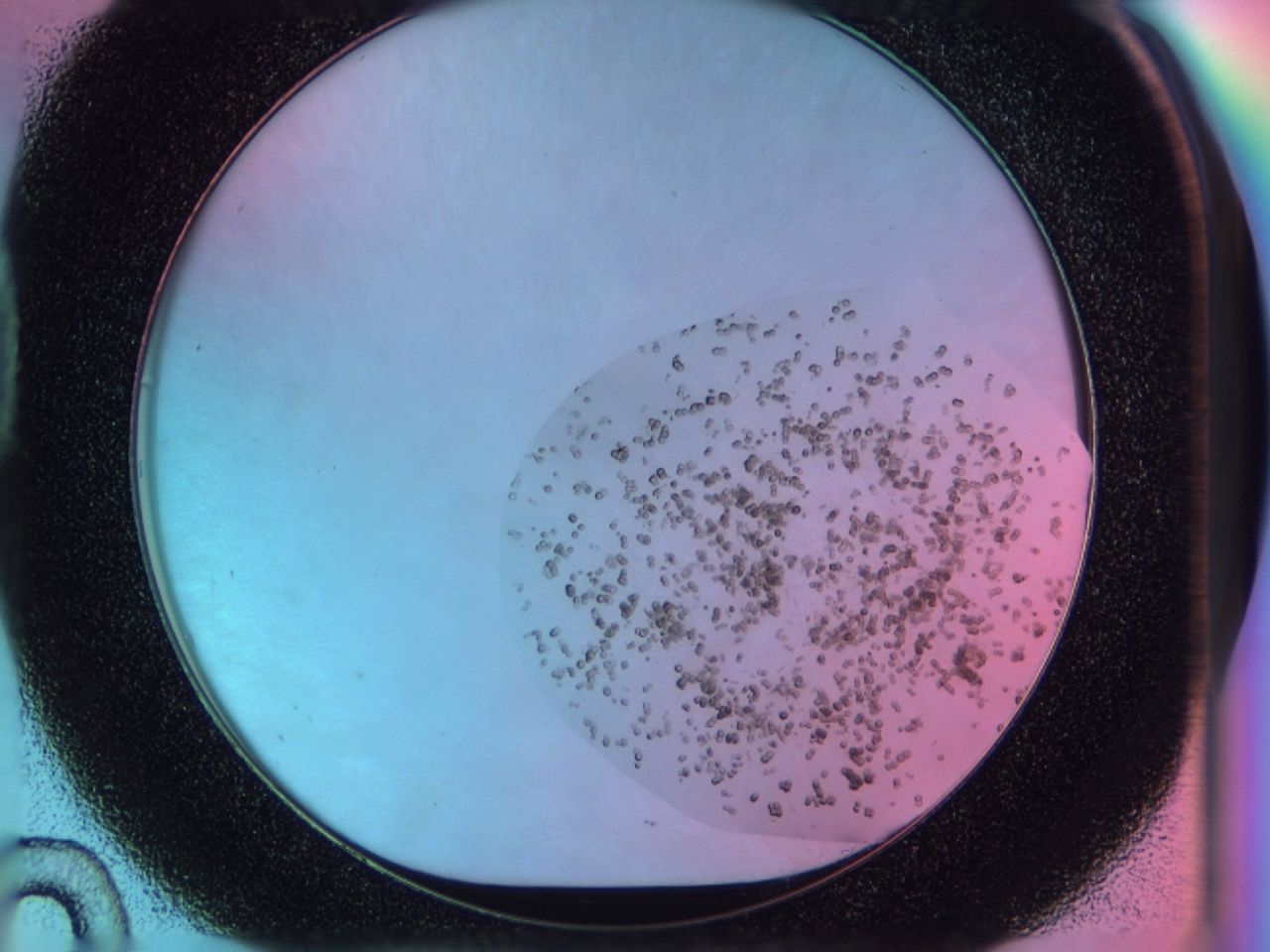 03bs_D10_ImagerDefaults_6.jpg