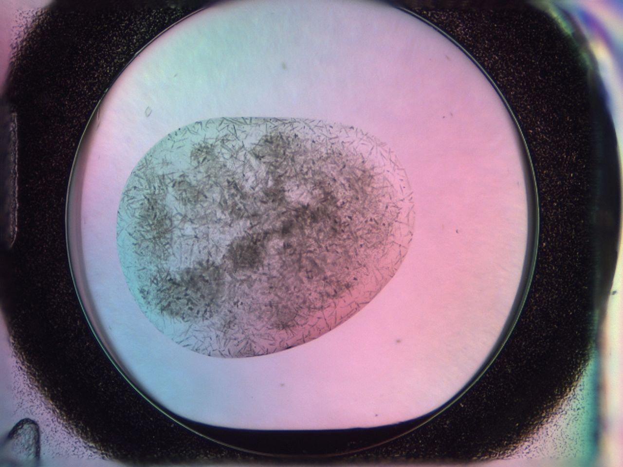 03bs_H11_ImagerDefaults_6.jpg