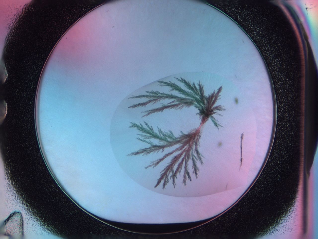 03bt_C11_ImagerDefaults_7.jpg
