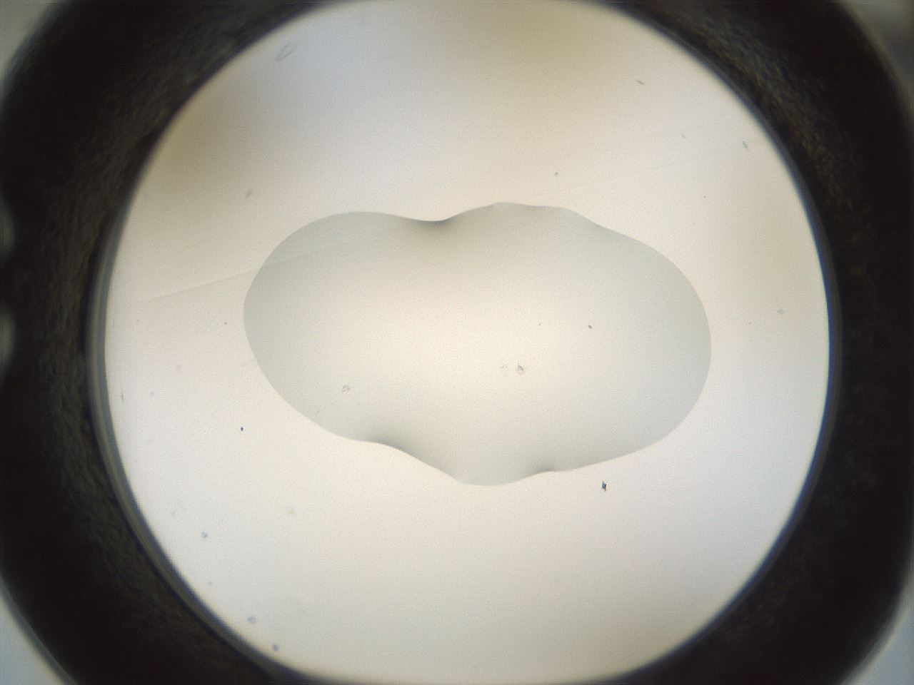 folderID510_plateID1510_batchID5873_wellNum25_profileID1_d1_r95657_ef.jpg