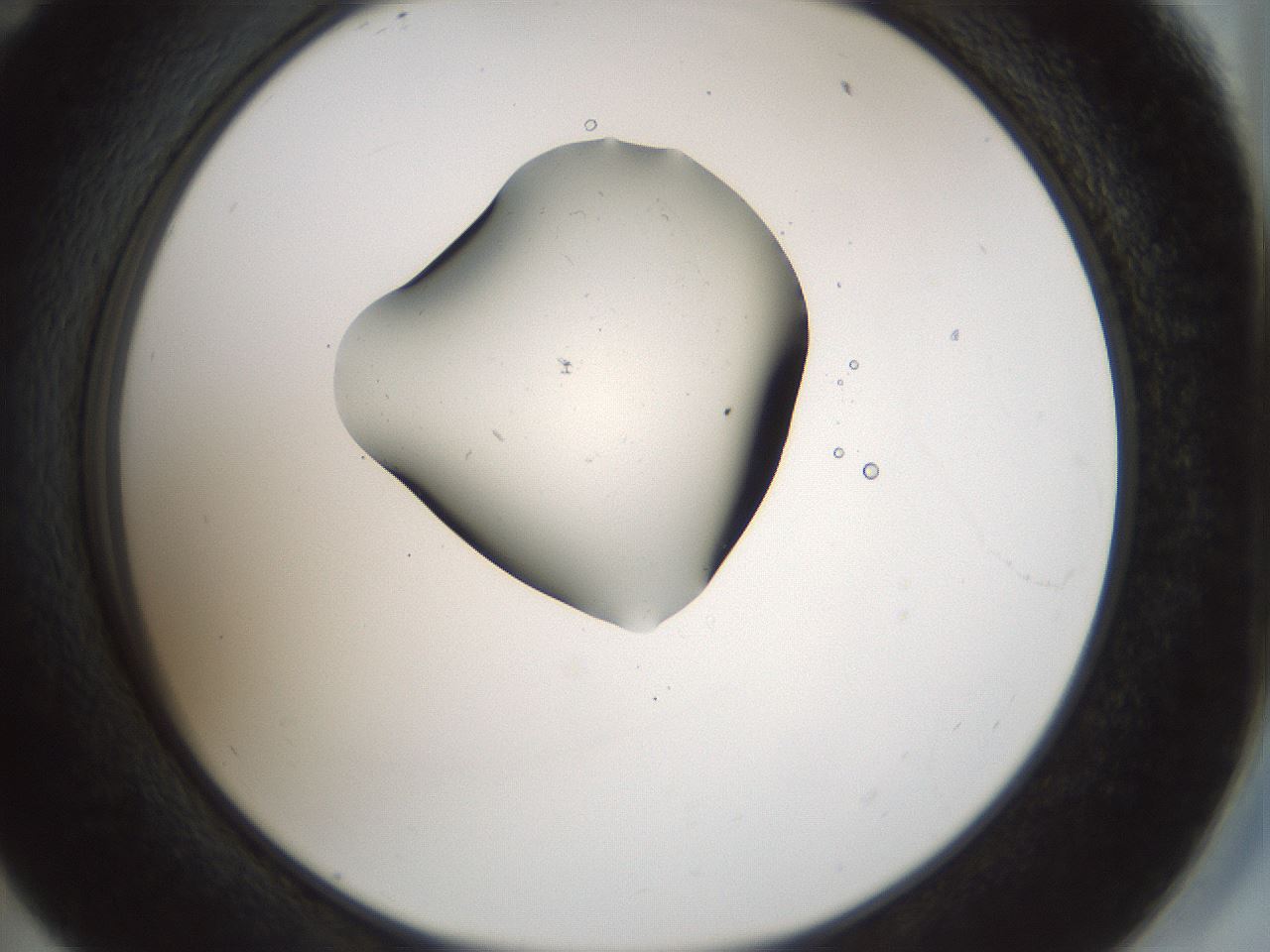 folderID514_plateID1514_batchID5855_wellNum59_profileID1_d2_r96710_ef.jpg