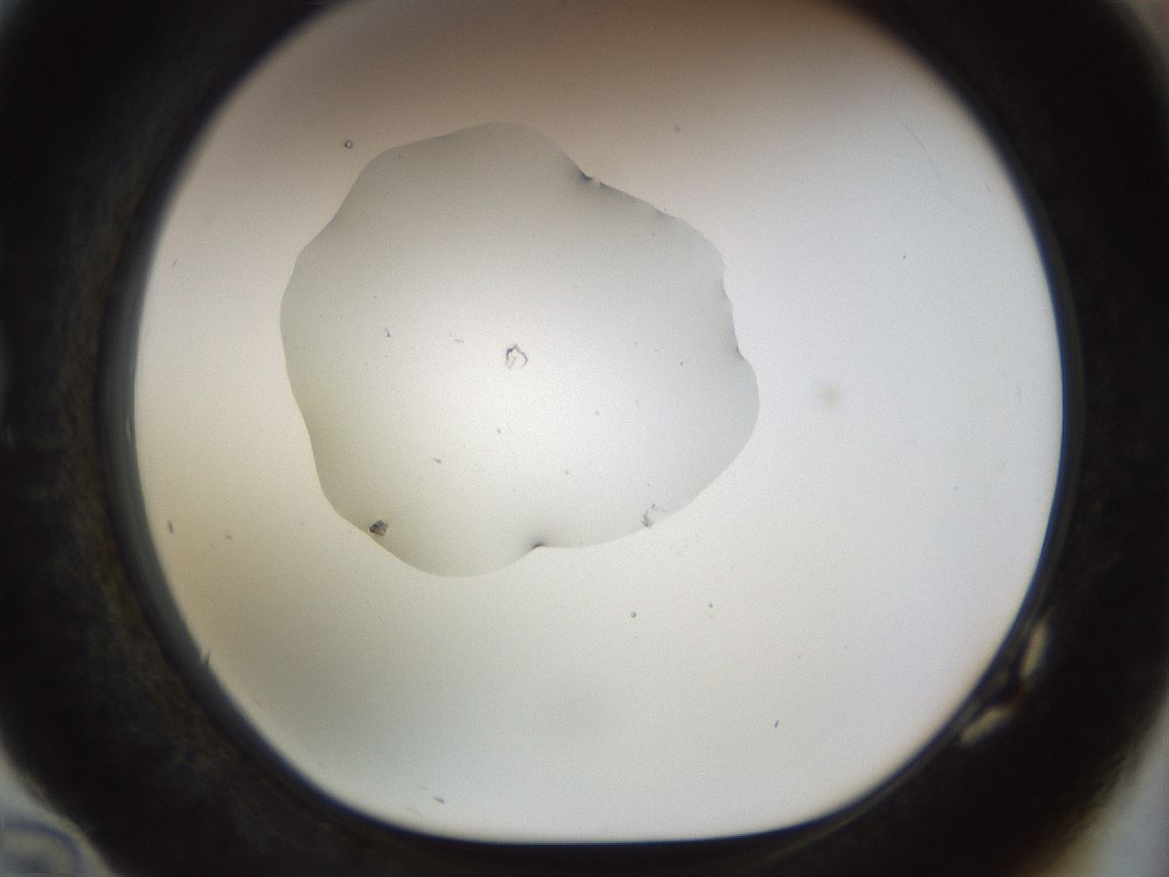folderID511_plateID1511_batchID5941_wellNum82_profileID1_d1_r95810_ef.jpg