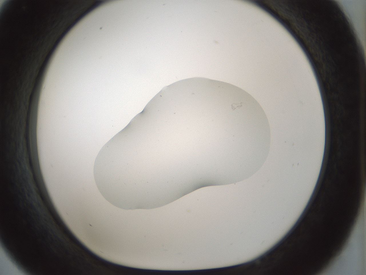 folderID510_plateID1510_batchID5940_wellNum33_profileID1_d1_r95665_ef.jpg