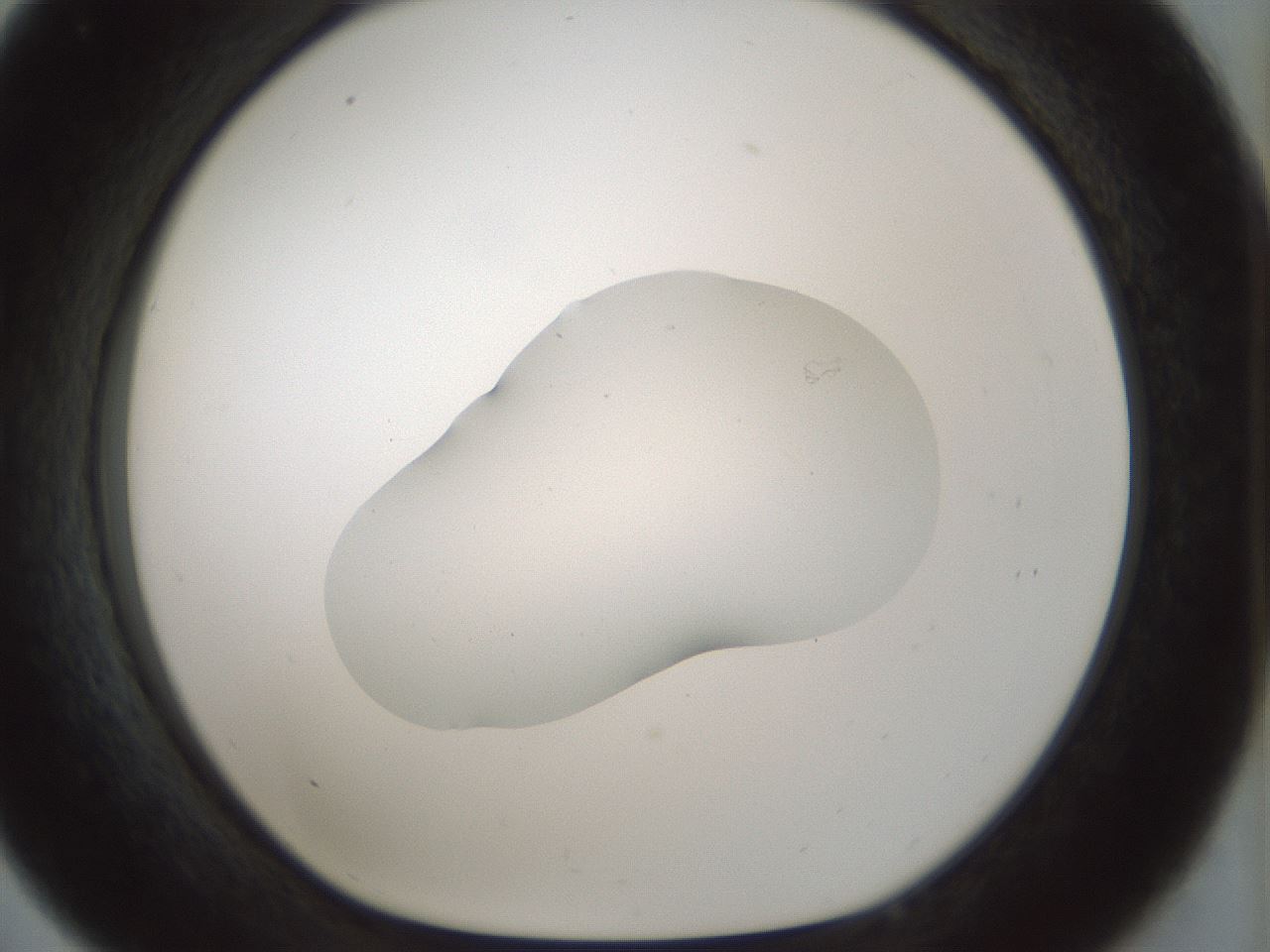folderID510_plateID1510_batchID5907_wellNum33_profileID1_d1_r95665_ef.jpg