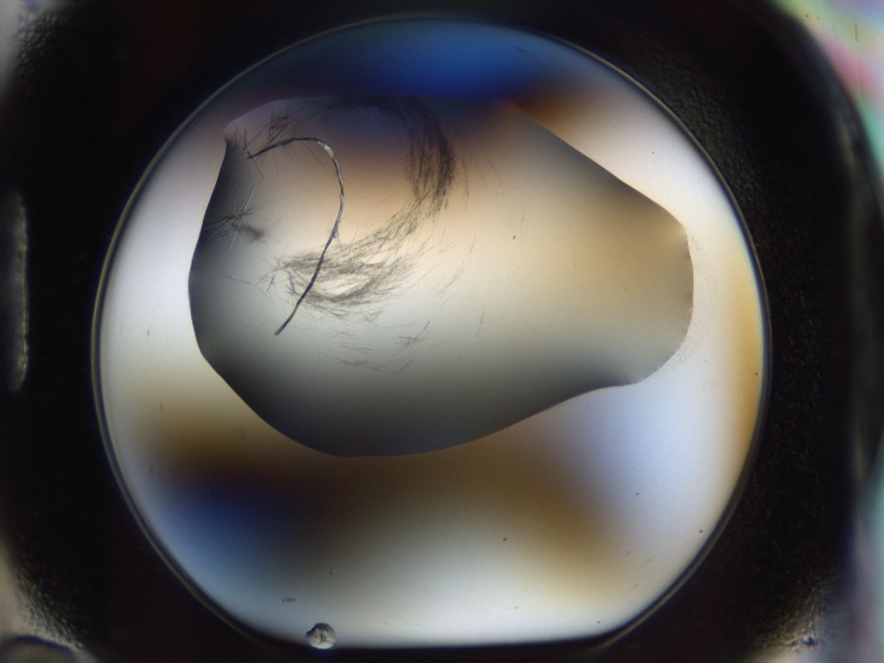 03bw_H10_ImagerDefaults_7.jpg