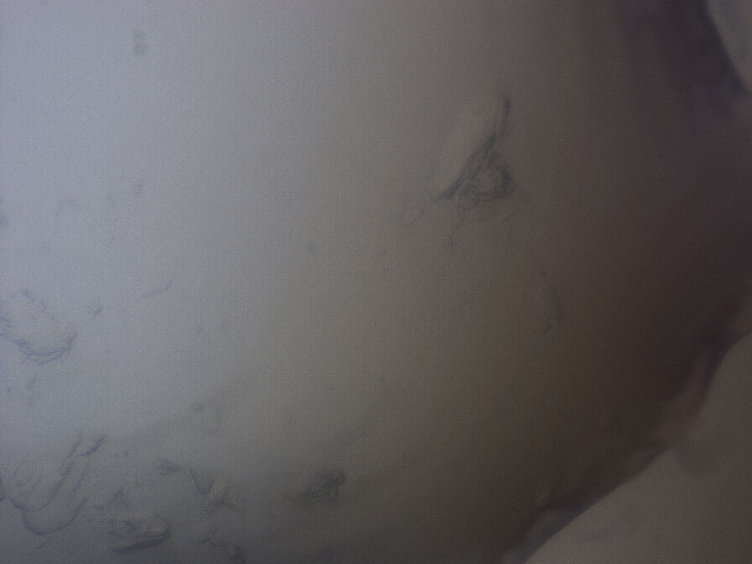 03bz_H11_HighResolution_9.jpg