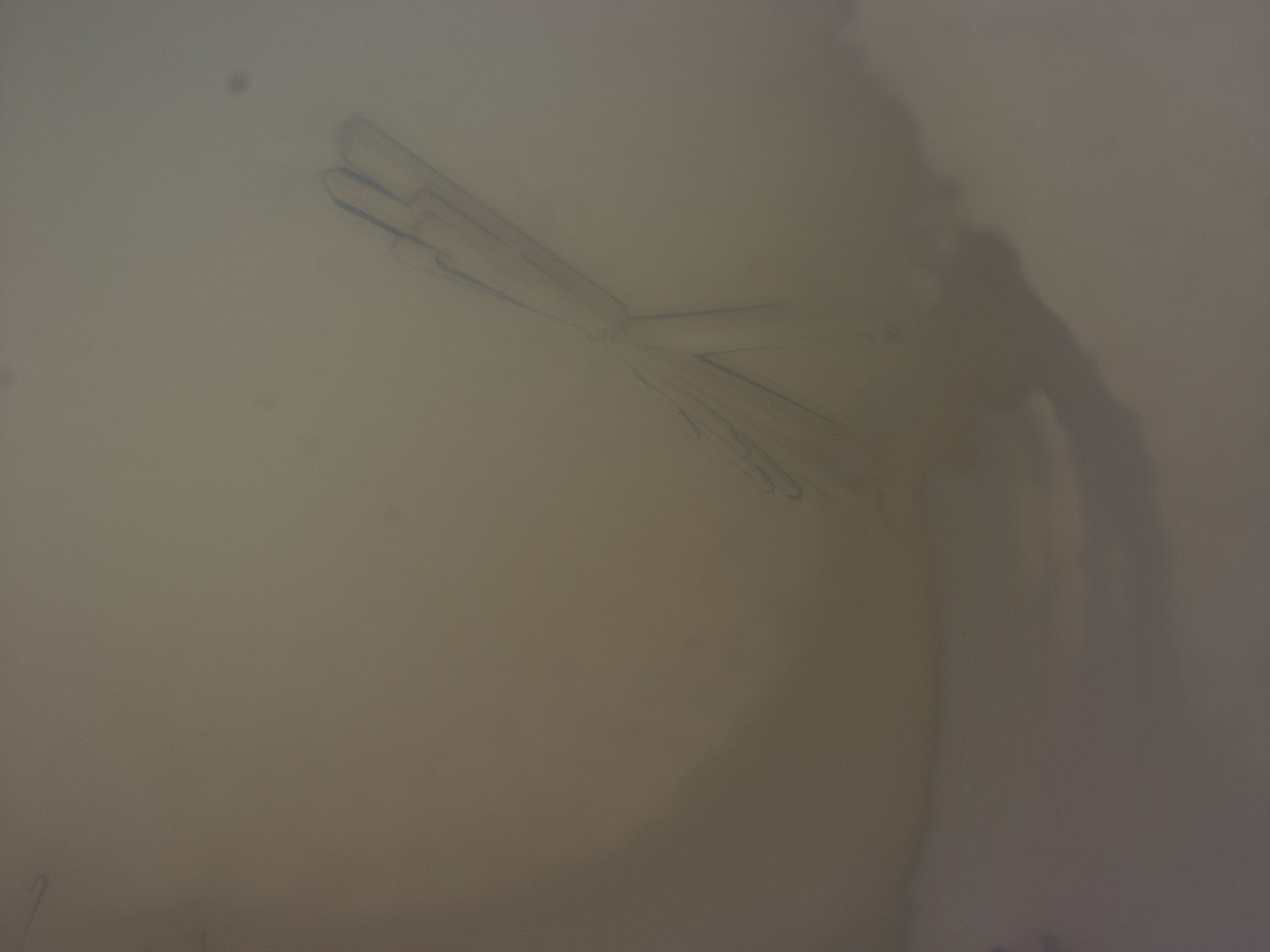 03c0_H10_HighResolution_9.jpg