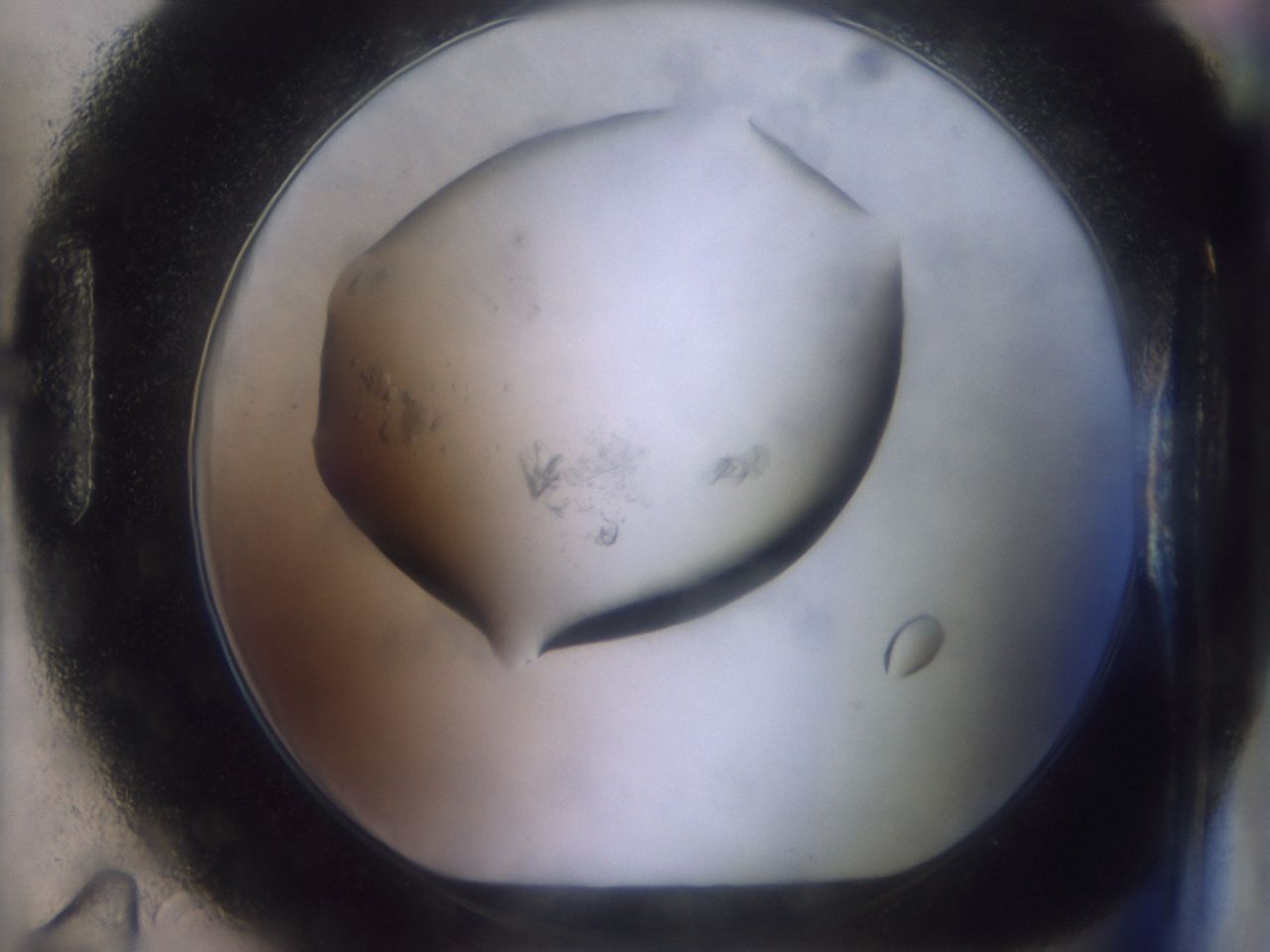 03c0_H11_ImagerDefaults_9.jpg