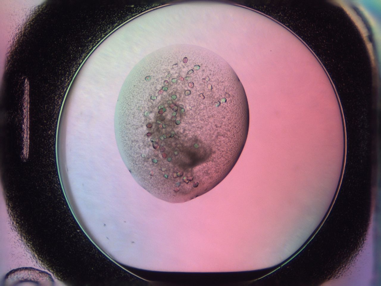 03c1_H12_ImagerDefaults_6.jpg
