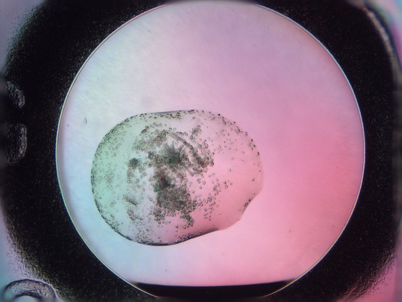 03c1_G12_ImagerDefaults_6.jpg