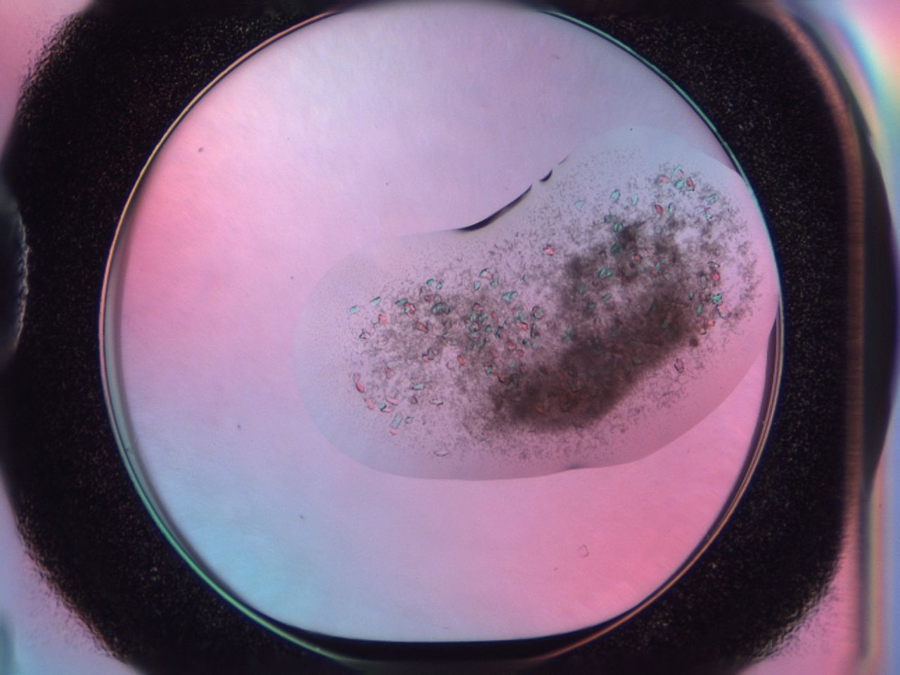 03c2_D4_ImagerDefaults_6.jpg