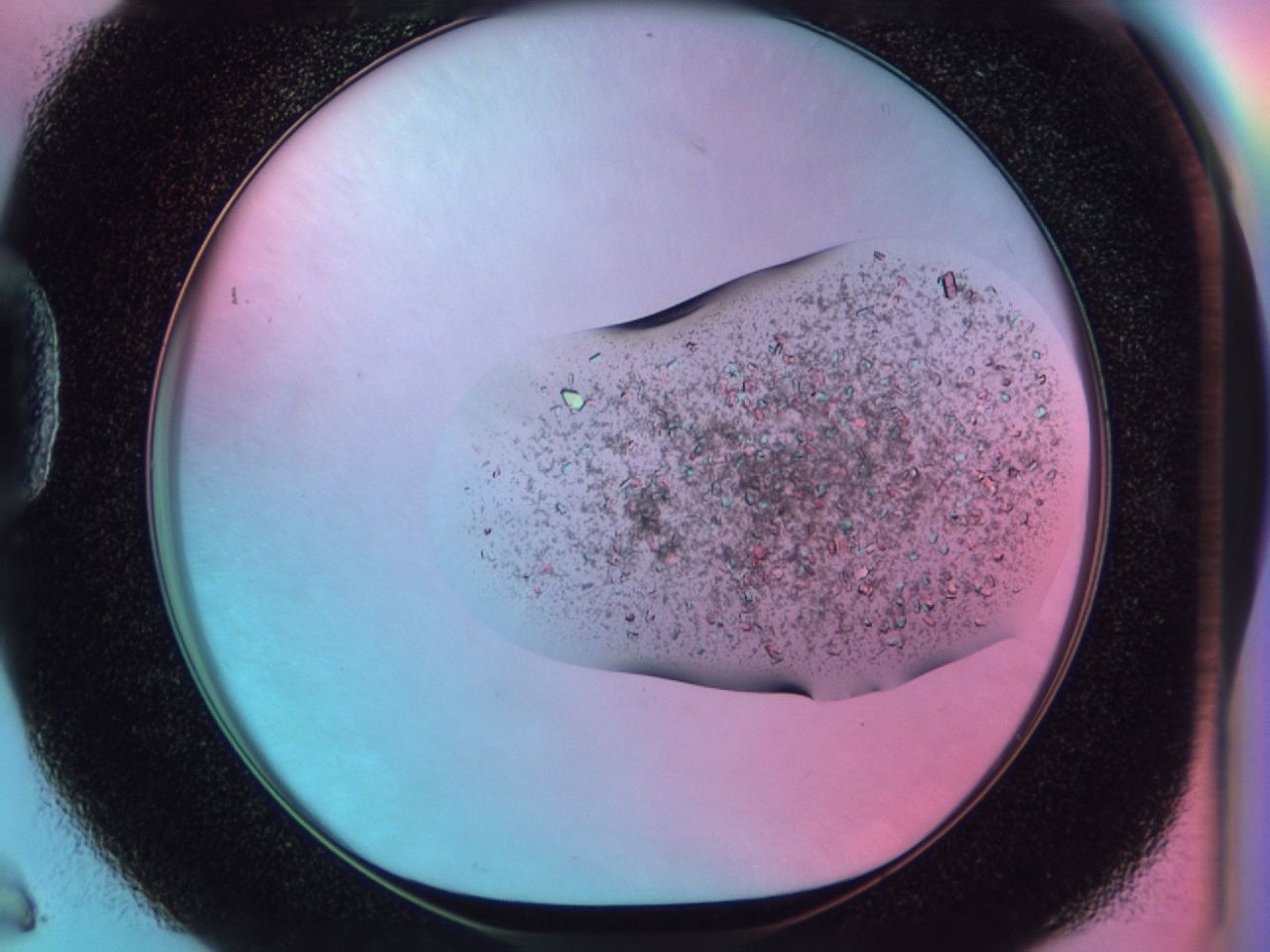 03c2_D6_ImagerDefaults_6.jpg