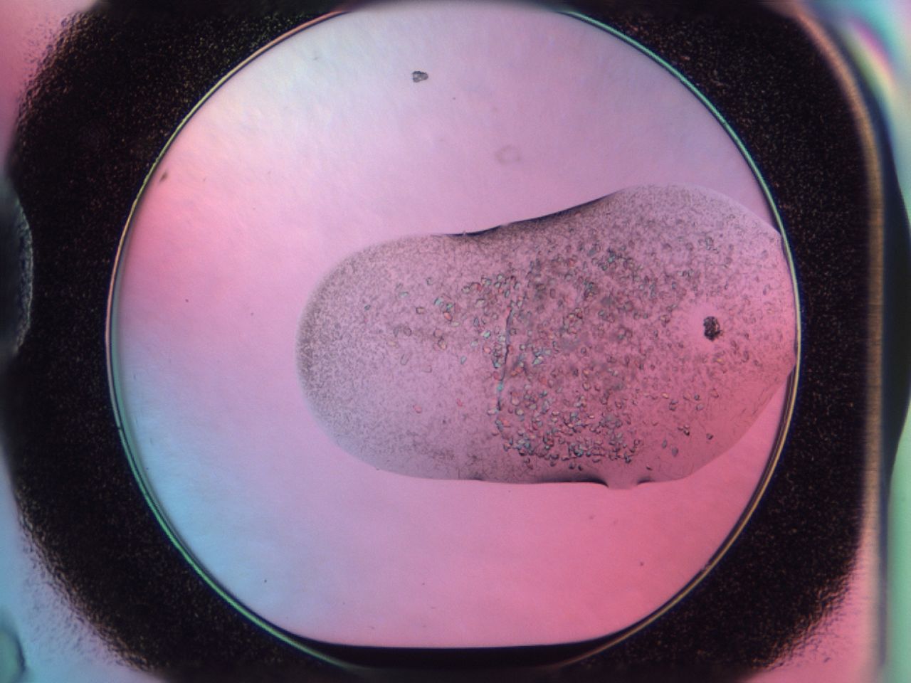 03c2_D8_ImagerDefaults_6.jpg