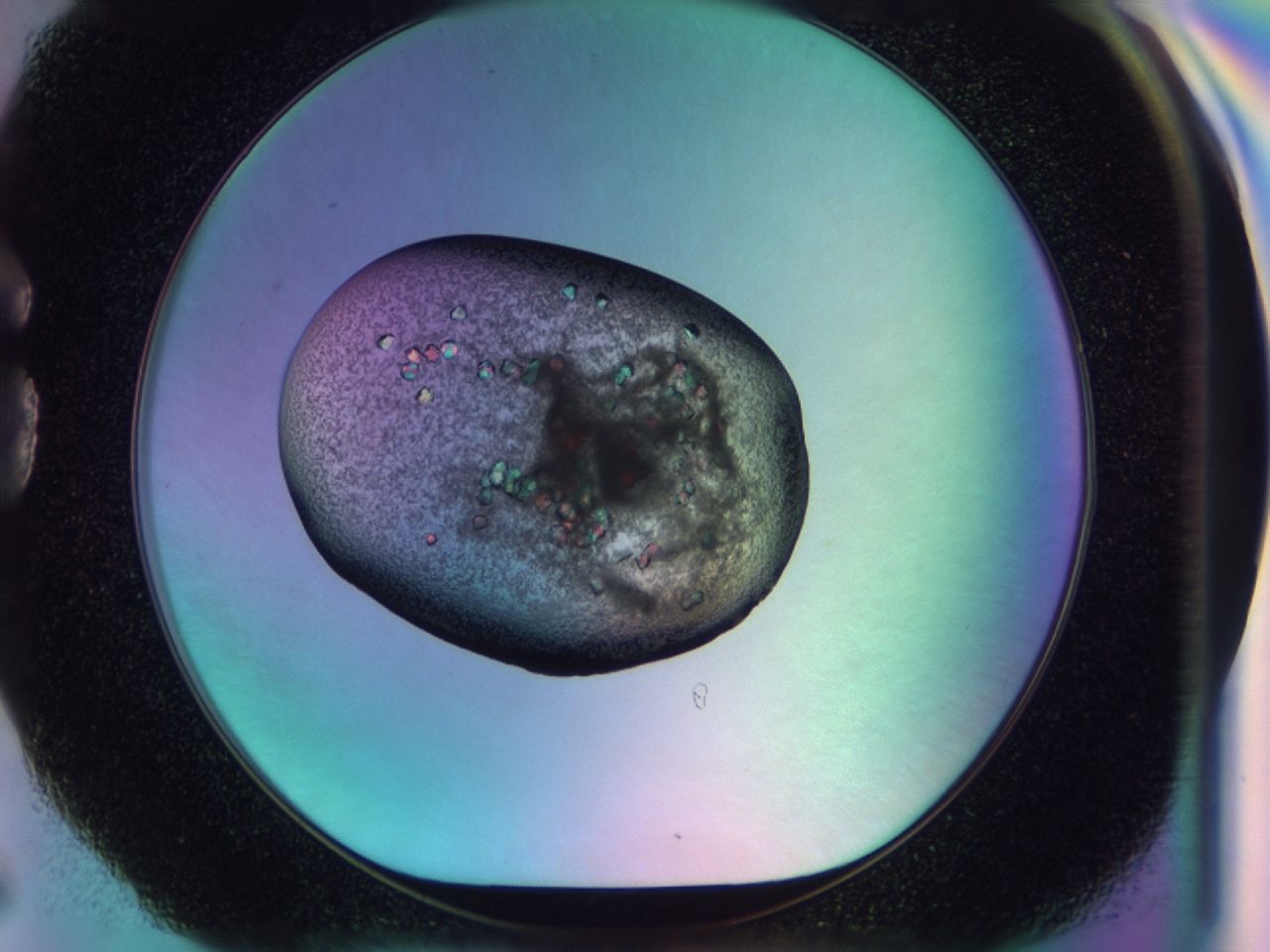 03c3_G6_ImagerDefaults_6.jpg