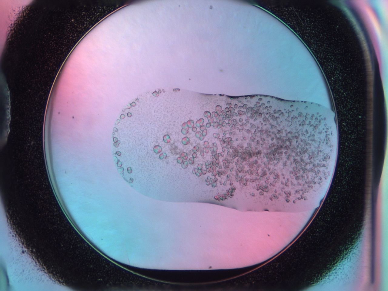 03c3_D9_ImagerDefaults_6.jpg