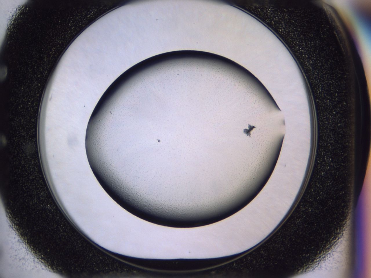 03c5_E5_ImagerDefaults_6.jpg