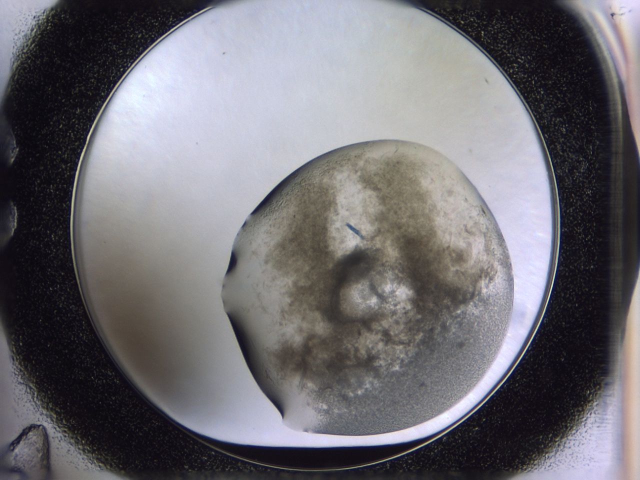 03c5_C11_ImagerDefaults_7.jpg