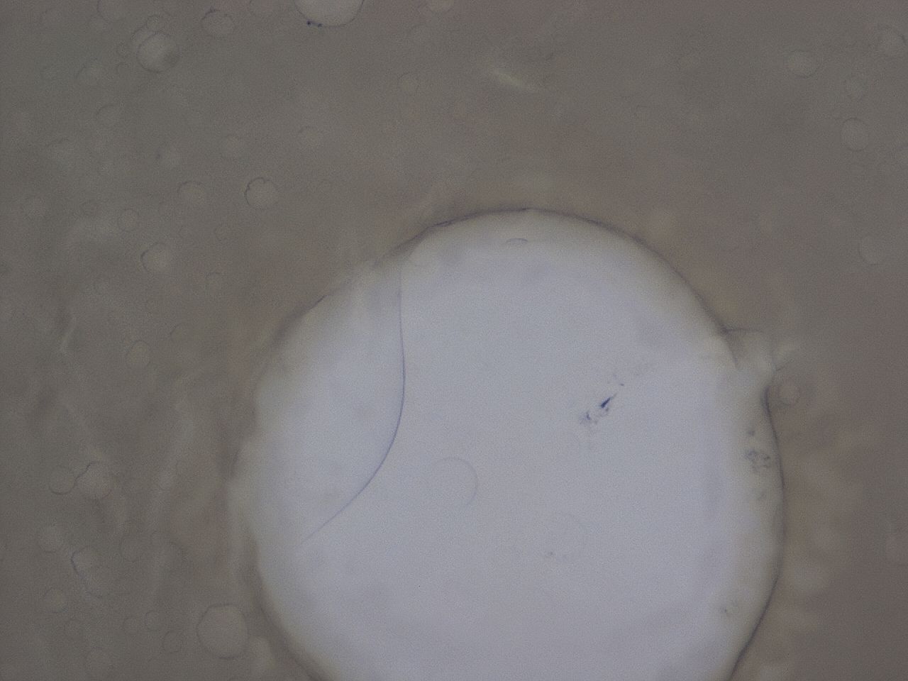03c5_B7_ImagerDefaults_9.jpg