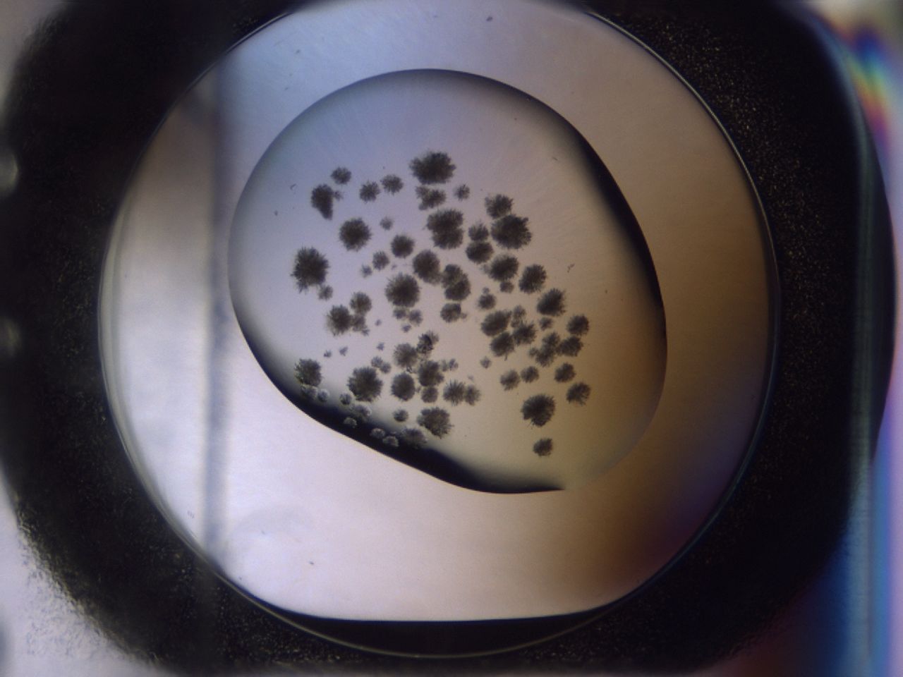 03c5_E8_ImagerDefaults_6.jpg
