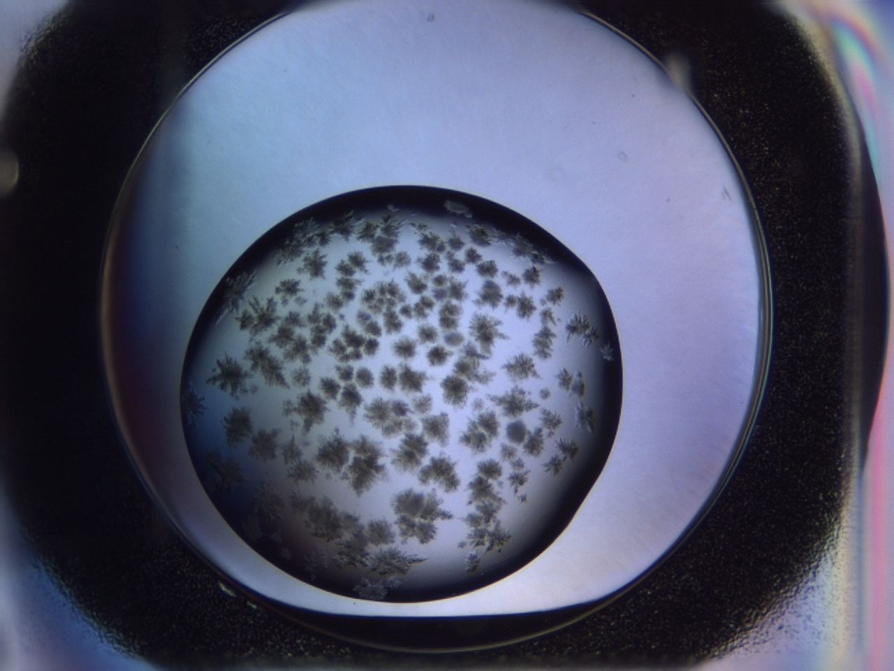 03c5_F8_ImagerDefaults_6.jpg