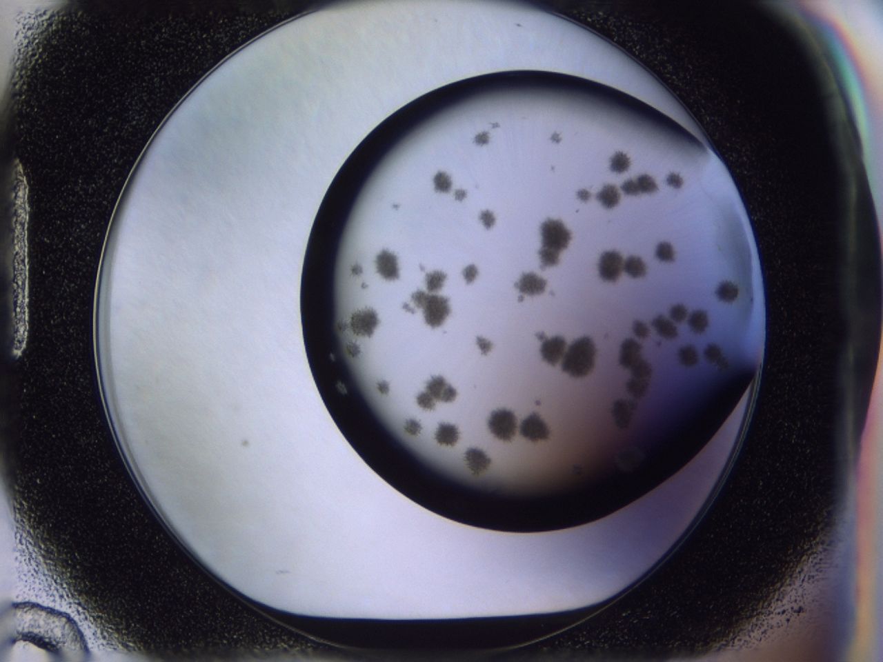 03c5_H10_ImagerDefaults_6.jpg