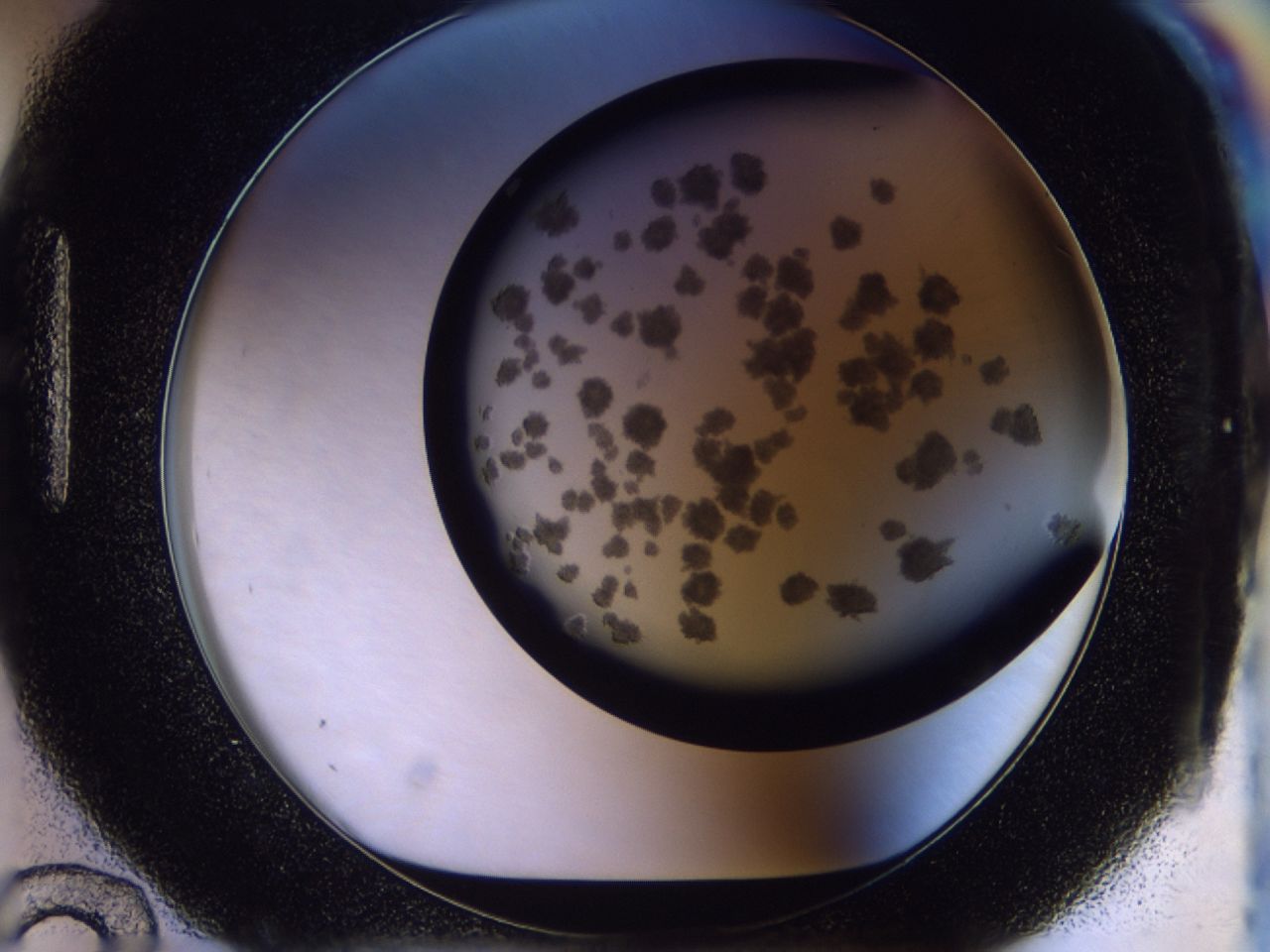 03c5_H12_ImagerDefaults_6.jpg