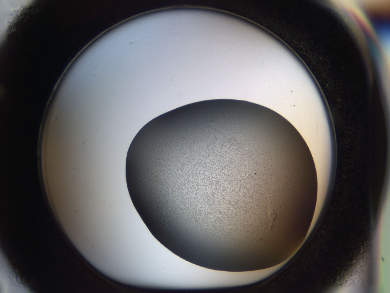 03c6_F7_ImagerDefaults_6.jpg