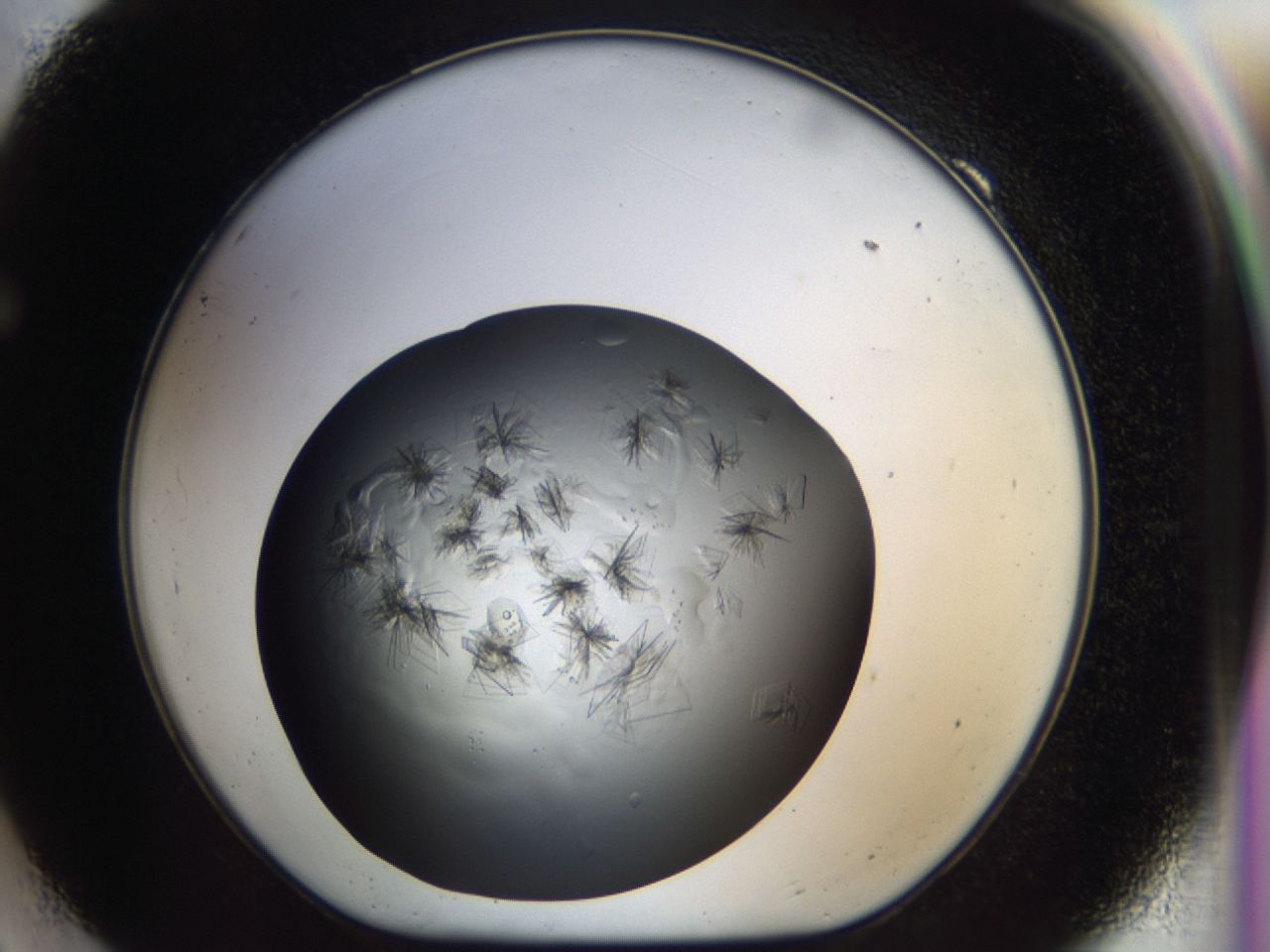 03c6_F9_ImagerDefaults_7.jpg