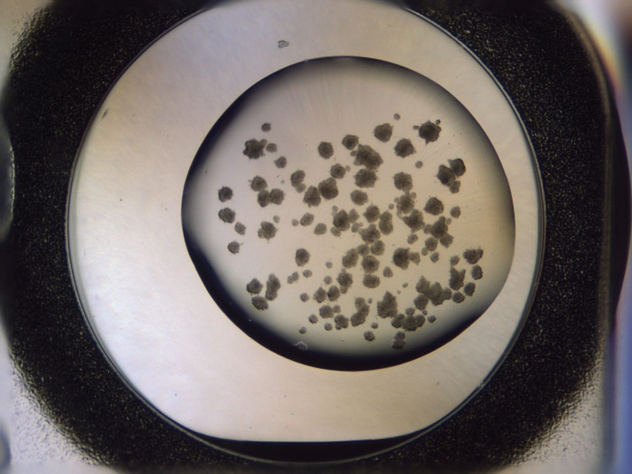 03c7_D8_ImagerDefaults_6.jpg