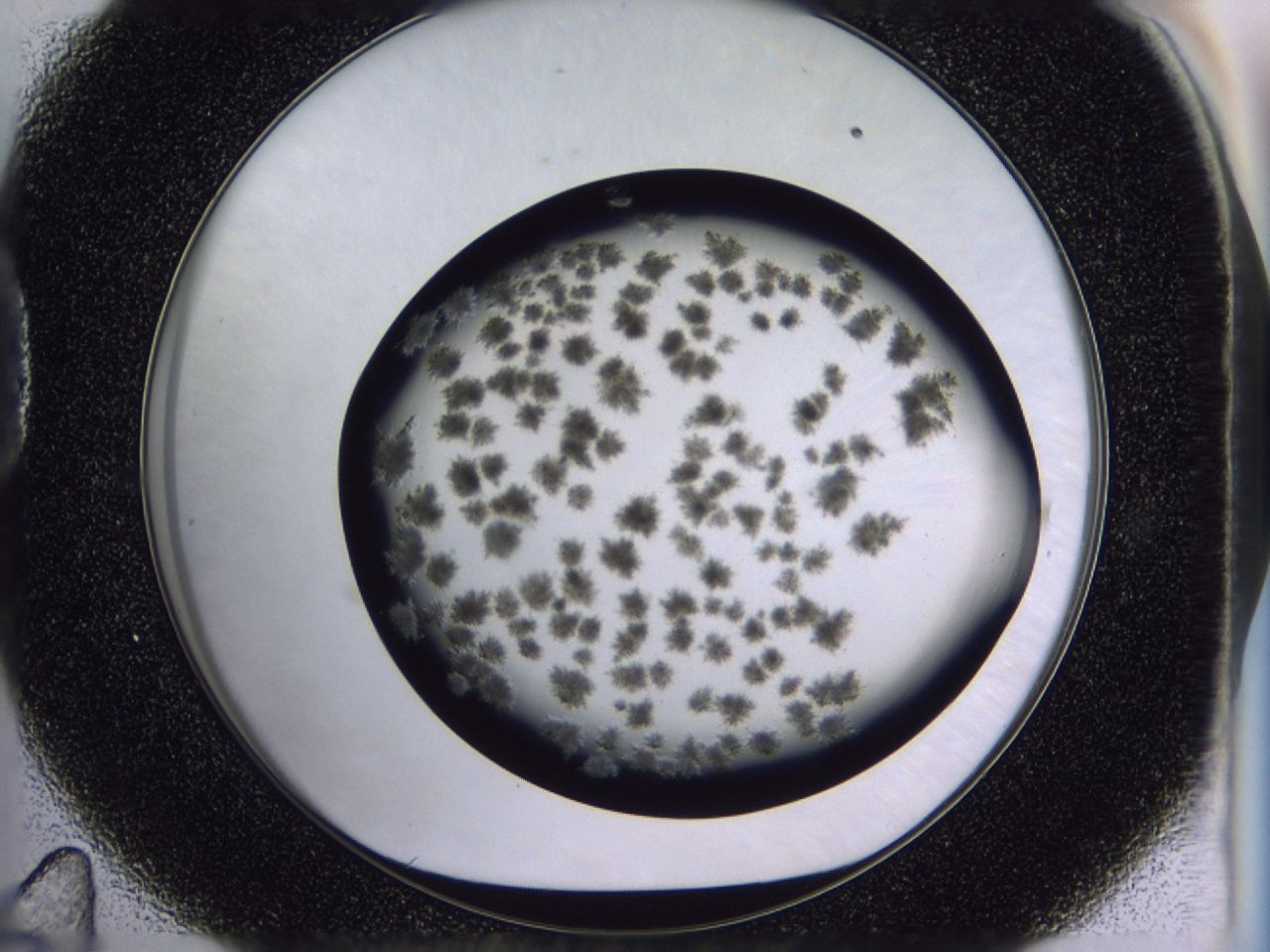 03c7_D11_ImagerDefaults_6.jpg